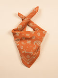 Vintage bandanas by Hankeys, western bandana headbands or dog bandanas. This premium cotton bandana is perfect for rodeos, western style, festivals, and everyday adventure. Retro hand-drawn designs are the perfect accessories.