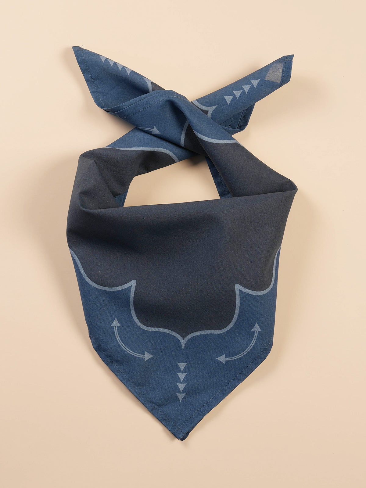Vintage bandanas by Hankeys, western bandana headbands or dog bandanas. This premium cotton bandana is perfect for rodeos, western style, festivals, and everyday adventure. Retro hand-drawn designs are the perfect accessories. 
